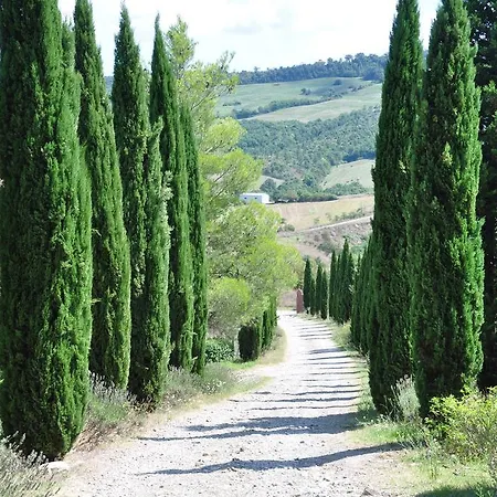 Campocane Oaks Trevinano